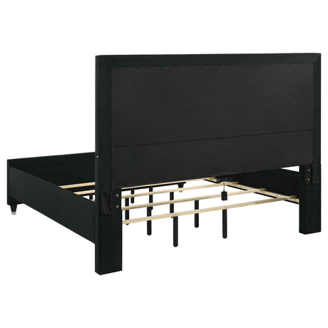Ravenne Black Velvet Upholstered Eastern King LED Panel Bed by Coaster at Eve Furniture