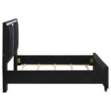 Ravenne Black Velvet Upholstered Queen LED Panel Bed by Coaster at Eve Furniture