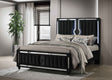 Ravenne Black Velvet Upholstered Queen LED Panel Bed by Coaster at Eve Furniture