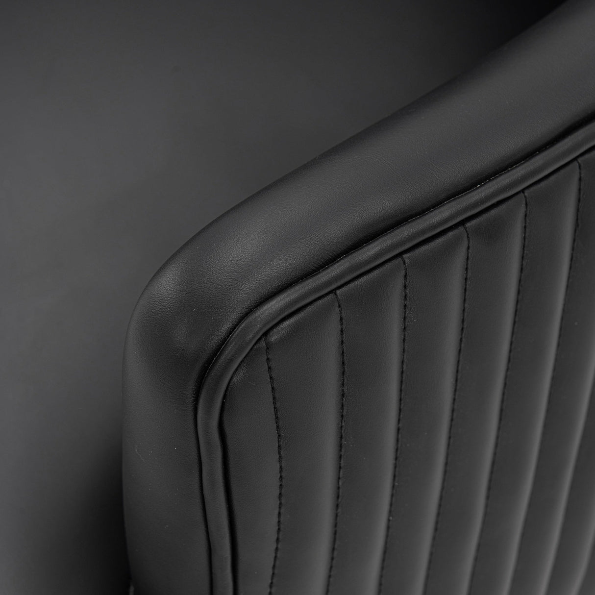 Raya Dining Armchair in Black (set of 2) by Manhattan Comfort at Eve Furniture