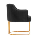 Raya Dining Armchair in Black (set of 2) by Manhattan Comfort at Eve Furniture