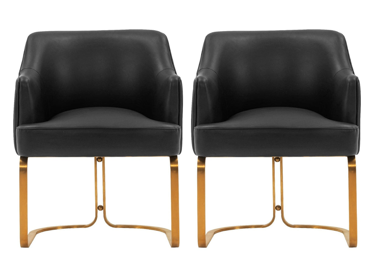 Raya Dining Armchair in Black (set of 2) by Manhattan Comfort at Eve Furniture
