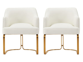 Raya Dining Armchair in Cream (set of 2) by Manhattan Comfort at Eve Furniture