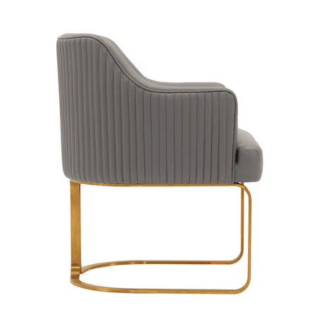 Raya Dining Armchair in Taupe by Manhattan Comfort at Eve Furniture