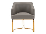 Raya Dining Armchair in Taupe by Manhattan Comfort at Eve Furniture