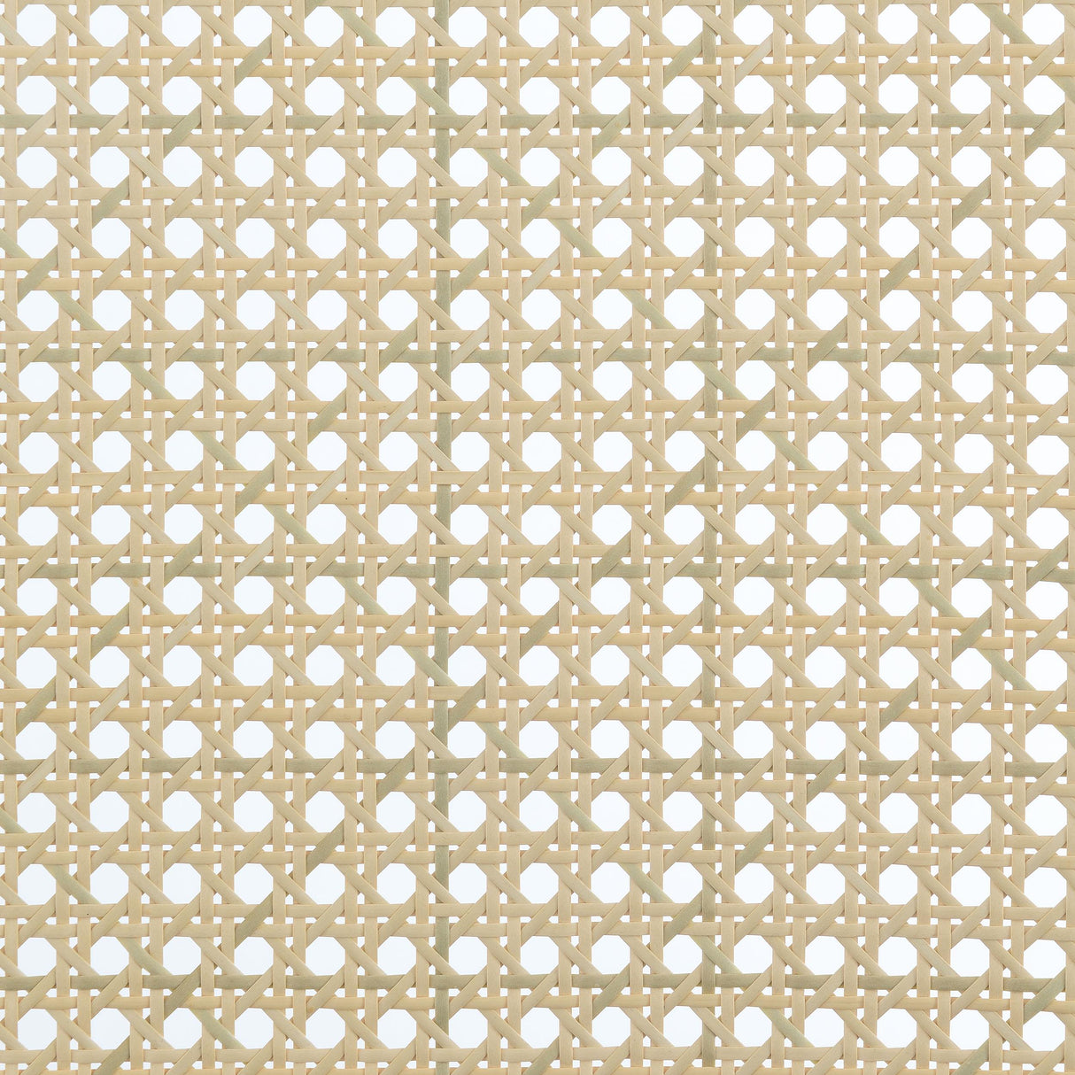 Rayo Black Rattan Cane Back Accent Chair with Padded Seat by Coaster at Eve Furniture