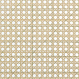 Rayo Black Rattan Cane Back Accent Chair with Padded Seat by Coaster at Eve Furniture