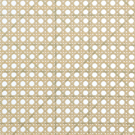 Rayo Black Rattan Cane Back Accent Chair with Padded Seat by Coaster at Eve Furniture