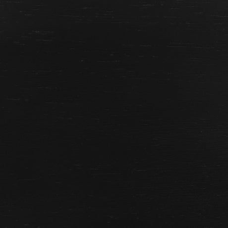 Rayo Black Rattan Cane Back Accent Chair with Padded Seat by Coaster at Eve Furniture