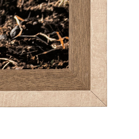 Rebel & Tinder by Katelyn Mostert a Framed Photo Art Print Matted under Glass by Mercana at Eve Furniture