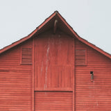 Red Barn I by Mercana Studio a Hand Embellished Textured Framed Photo Art Print Matted under Glass by Mercana at Eve Furniture
