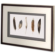 Red Rock Feathers II by Grace Popp a Hand Embellished Textured Framed Art Print Matted under Glass by Mercana at Eve Furniture