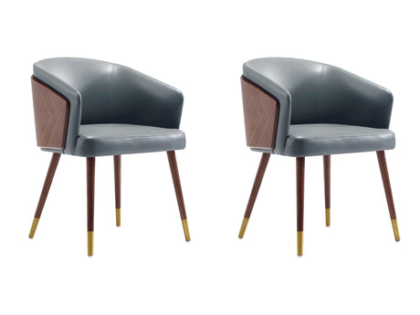 Reeva Dining Chair in Walnut and Graphite Grey (set of 2) by Manhattan Comfort at Eve Furniture