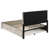 Reeves Beige Upholstered Full Lift-top Storage Platform Bed by Coaster at Eve Furniture