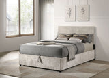 Reeves Beige Upholstered Full Lift-top Storage Platform Bed by Coaster at Eve Furniture