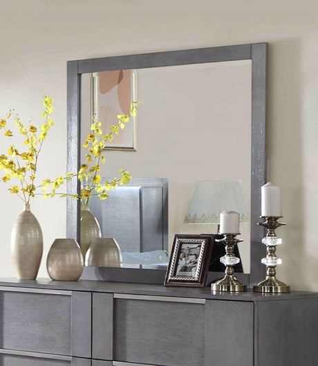 Regulus Gray Mirror by Furniture of America at Eve Furniture