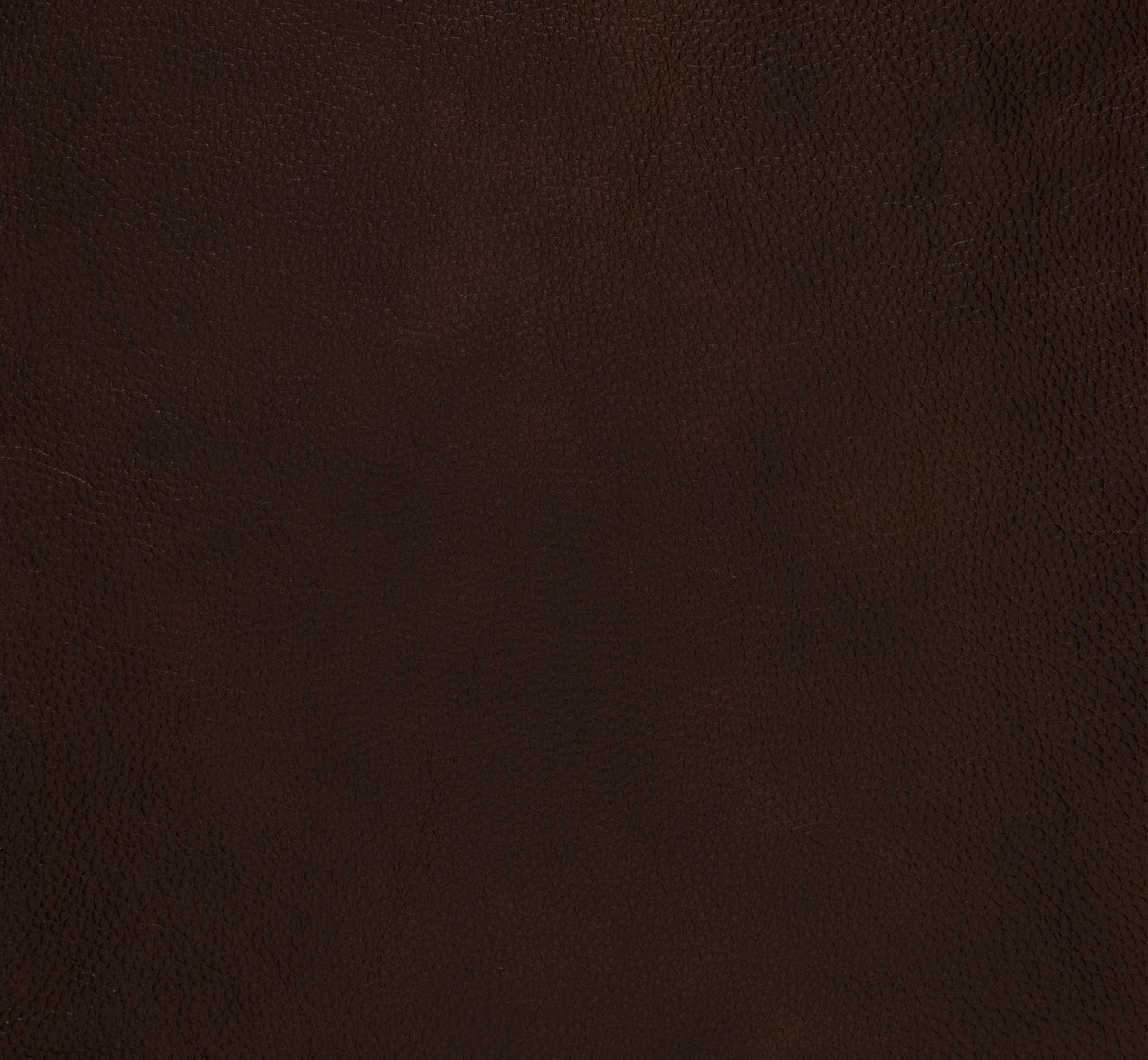 Remington Brown Push Back Leather Reclining Chair by Homelegance at Eve Furniture