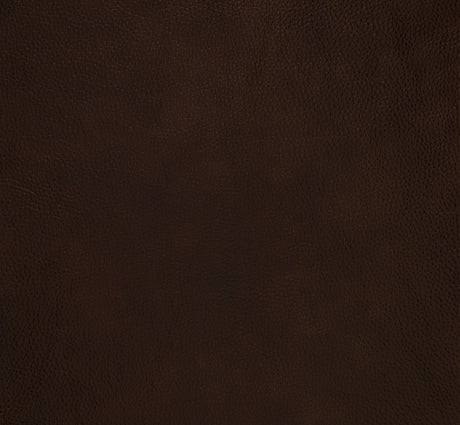 Remington Brown Push Back Leather Reclining Chair by Homelegance at Eve Furniture