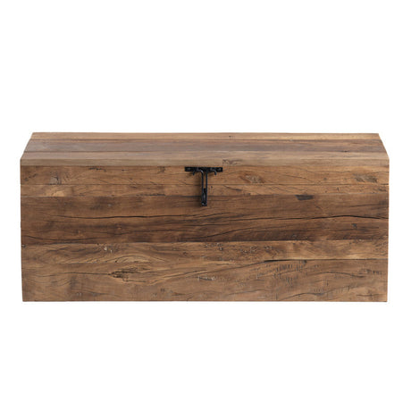Remington Brown Trunk by Crestview at Eve Furniture