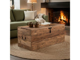 Remington Brown Trunk by Crestview at Eve Furniture