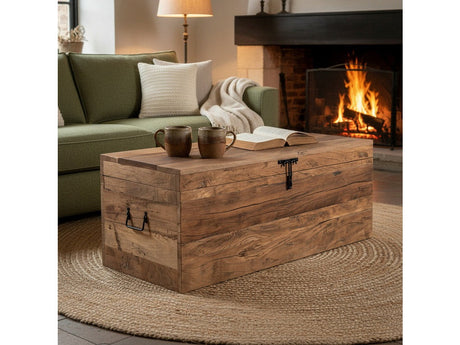 Remington Brown Trunk by Crestview at Eve Furniture