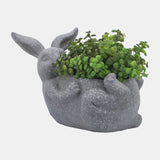 Resin, 15"d Laying Bunny Planter, Gray