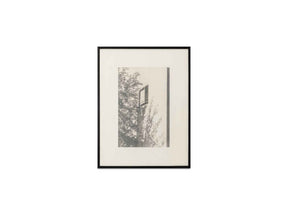 Retreat Multi Color 1 Framed Print by Moe's Home at Eve Furniture