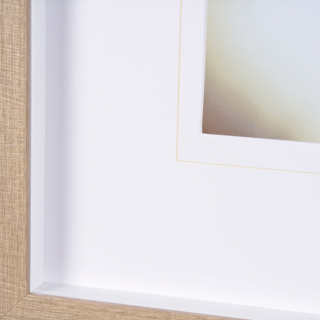 Retro Chihuahua by THE Studio a Framed Photo Art Print Matted under Glass by Mercana at Eve Furniture
