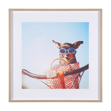 Retro Chihuahua by THE Studio a Framed Photo Art Print Matted under Glass by Mercana at Eve Furniture