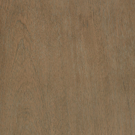 Revello Washed Mango Queen Panel Bed by Coaster at Eve Furniture