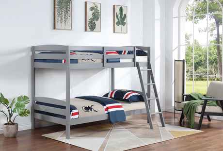 Rhea Grey Wood Twin Over Twin Bunk Bed by Coaster at Eve Furniture