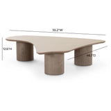 Rhema Washed Ash Nesting Coffee Table Set by TOV Furniture at Eve Furniture
