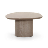 Rhema Washed Ash Oblong Coffee Table by TOV Furniture at Eve Furniture
