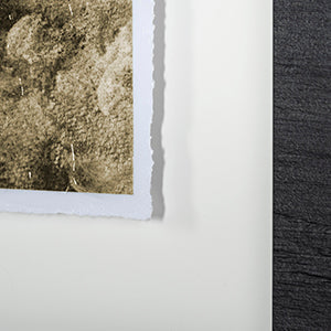 Rhino Green by Mercana Studio a Hand Embellished Textured Framed Art Print Matted under Glass by Mercana at Eve Furniture