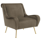 Ricci Truffle/Gold Upholstered Saddle Arms Accent Chair by Coaster at Eve Furniture