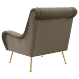 Ricci Truffle/Gold Upholstered Saddle Arms Accent Chair by Coaster at Eve Furniture