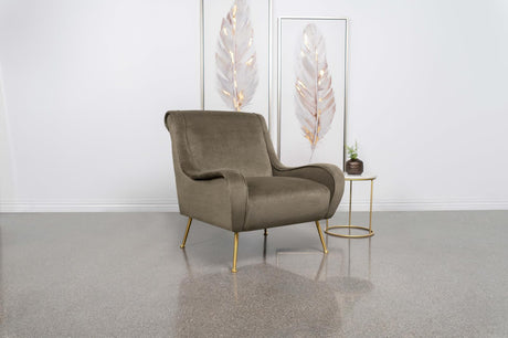 Ricci Truffle/Gold Upholstered Saddle Arms Accent Chair by Coaster at Eve Furniture