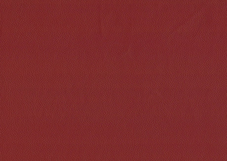 Ride Matt Red Counter Height Stool, Set of 2 by Homelegance at Eve Furniture