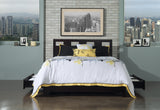 Riva Wood Full Storage Bed in Espresso by Modus Furniture at Eve Furniture