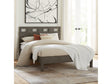 Riva Wood Queen Bed in Sharkskin by Modus Furniture at Eve Furniture