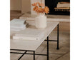 River Botticino Marble Coffee Table by Moe's Home at Eve Furniture