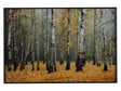 Rivers Yellow/Brown Wall Art by Crestview at Eve Furniture