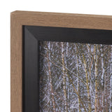 Riverside Reflection - Forest by Mikael Svensson a Framed Photo Art Print Matted under Glass by Mercana at Eve Furniture