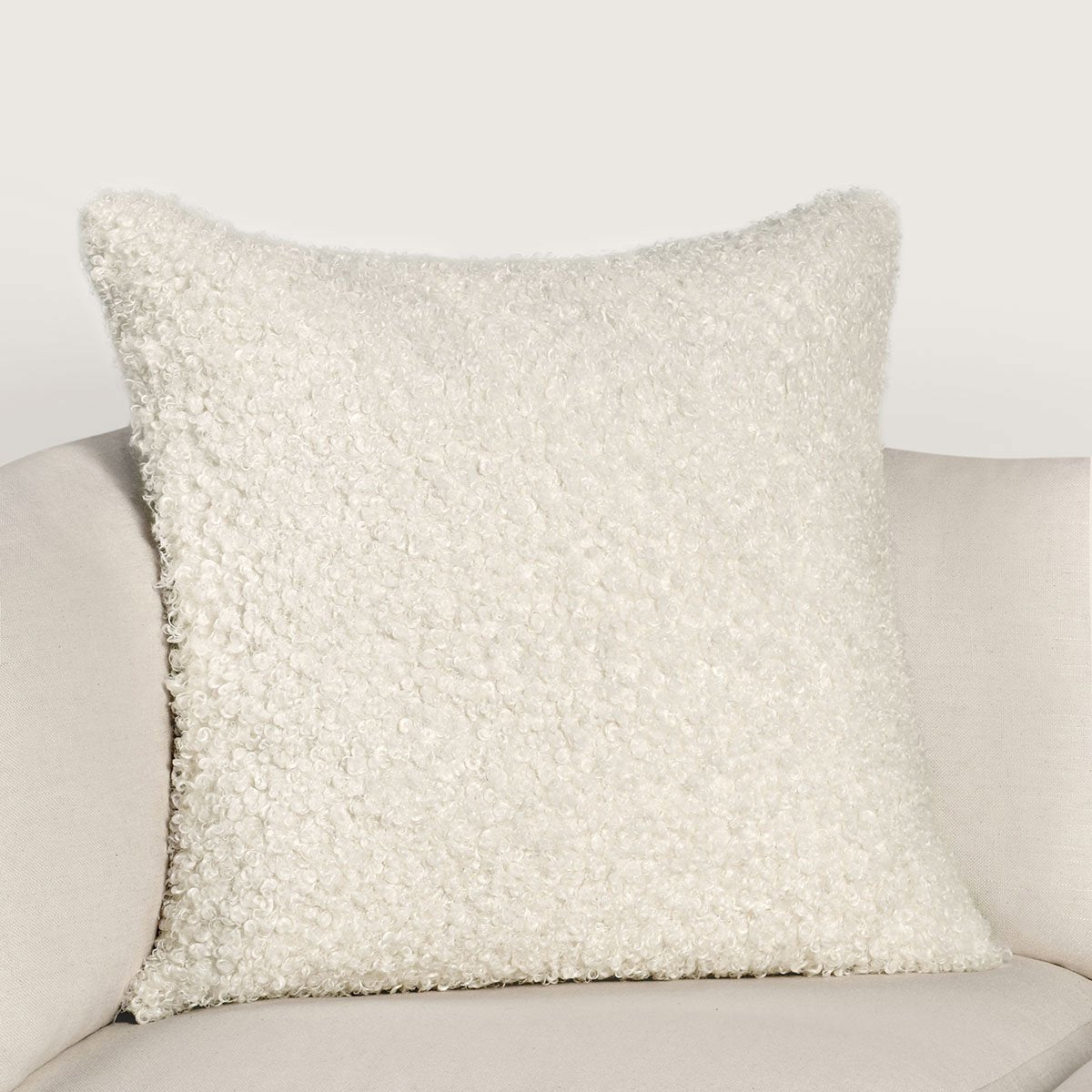 RN Carters Ivory Multiple Sizes Throw Pillow (Set of 2) (Set of 2) by Classic Home at Eve Furniture