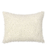 RN Carters Ivory Multiple Sizes Throw Pillow (Set of 2) (Set of 2) by Classic Home at Eve Furniture
