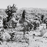 Road Trip III by Elizabeth Urquhart a Framed Photo Art Print Matted under Glass by Mercana at Eve Furniture
