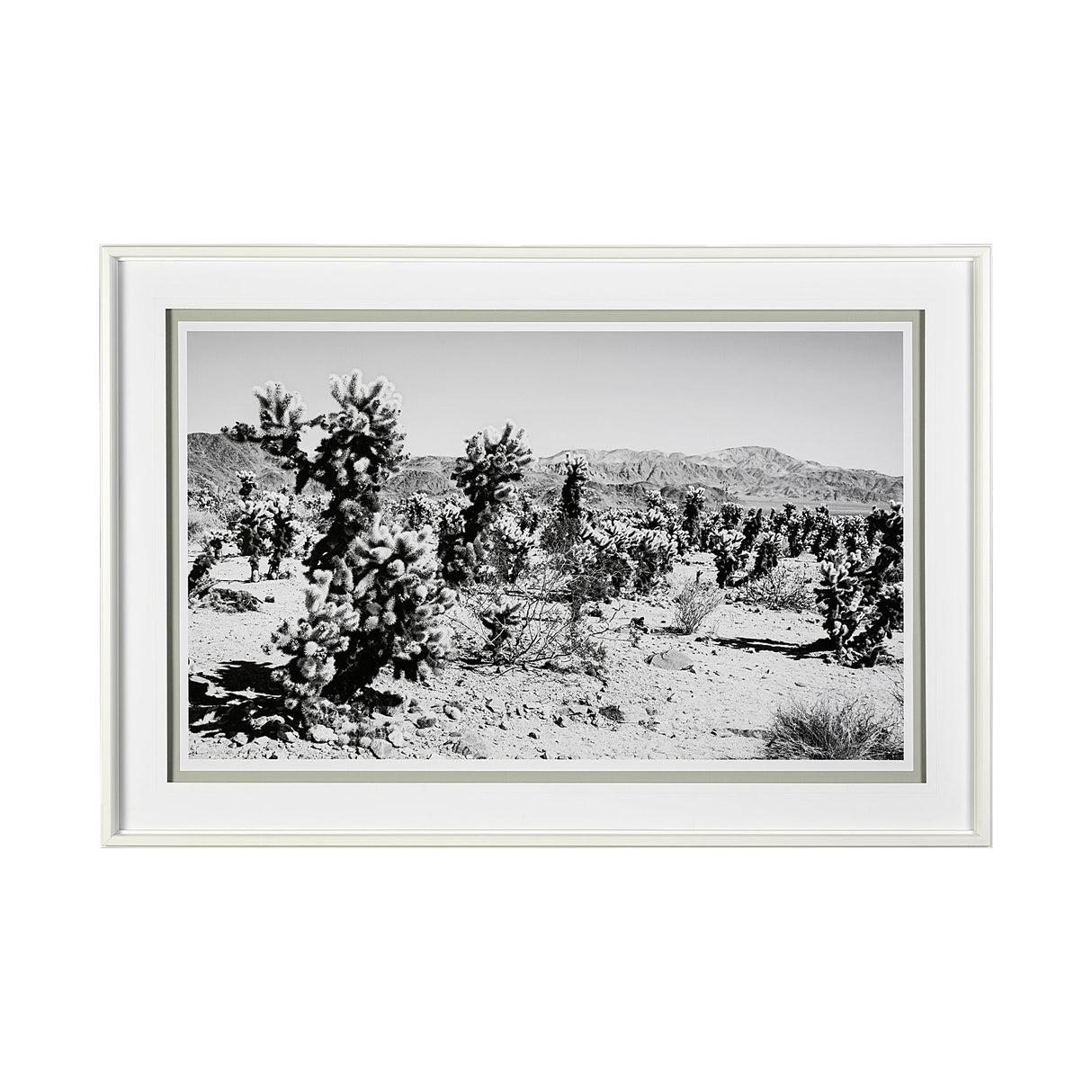 Road Trip III by Elizabeth Urquhart a Framed Photo Art Print Matted under Glass by Mercana at Eve Furniture