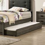 Roanne Gray/Charcoal Twin Bed by Furniture of America at Eve Furniture