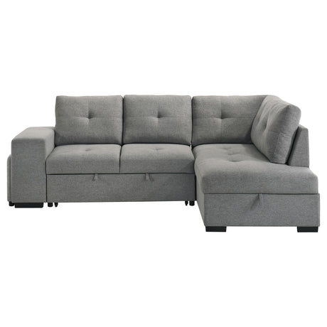 Roanne Grey Fabric Upholstered Sleeper Sectional Sofa by Coaster at Eve Furniture