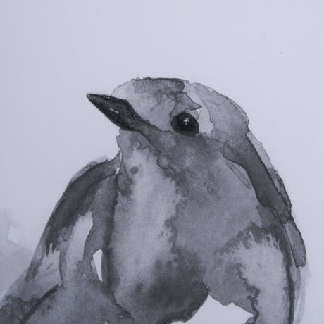 Robin BW I by Mercana Studio a Hand Embellished Textured Framed Art Print Matted under Glass by Mercana at Eve Furniture